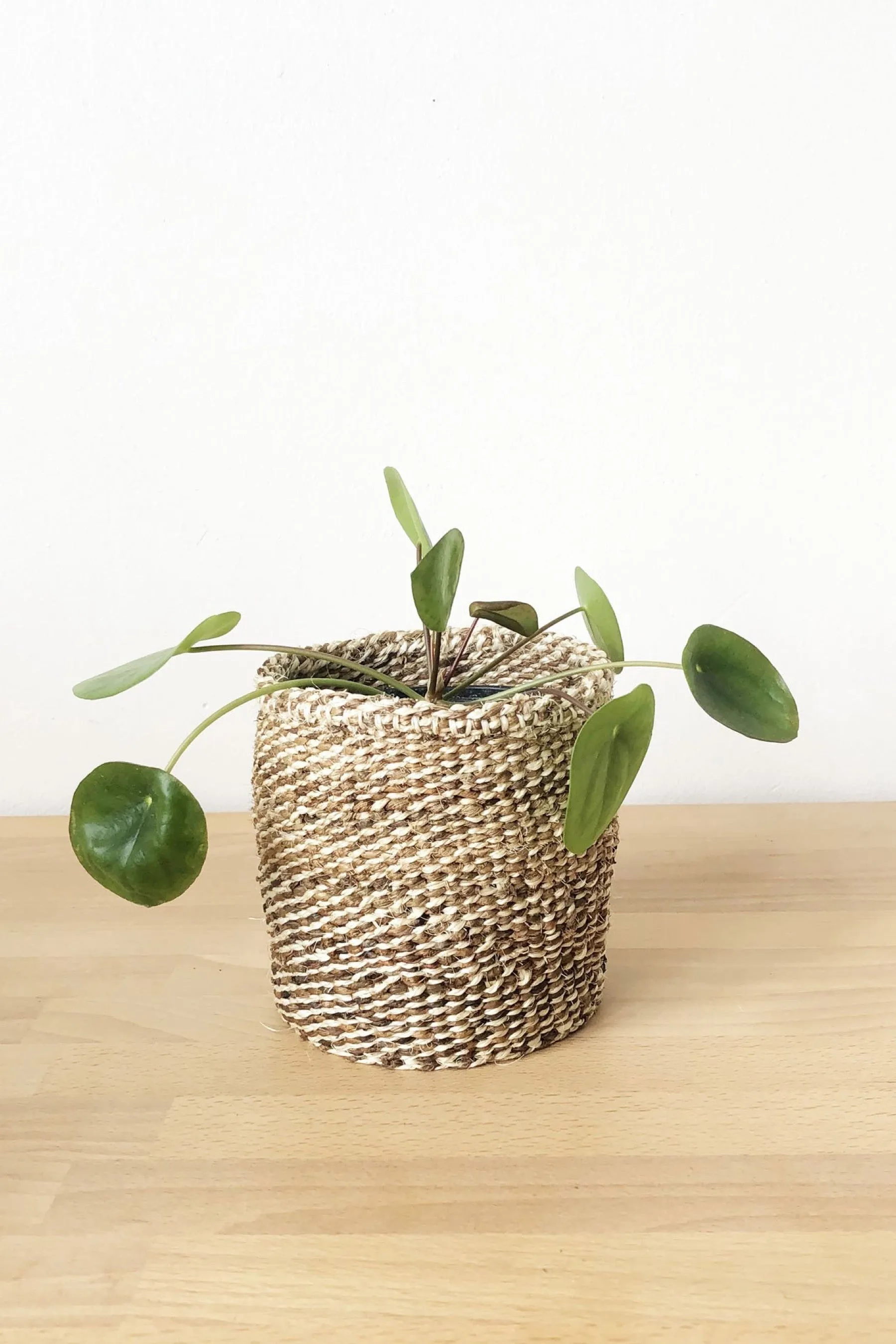 X-Small Banana Leaf Storage Basket